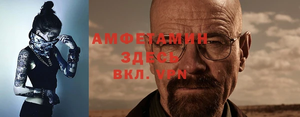 дживик Абаза