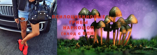крисы Майский
