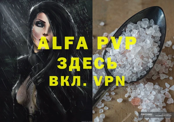 дживик Абаза
